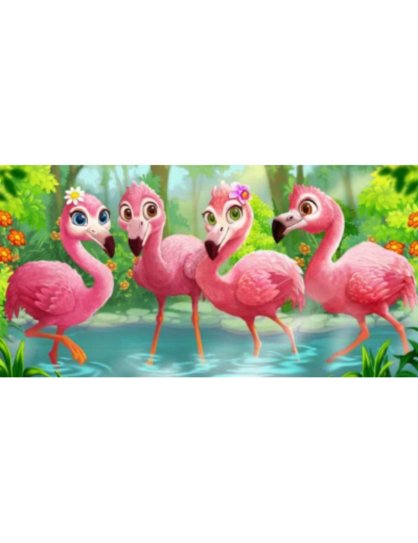 Flamingo`s Flamingo`s