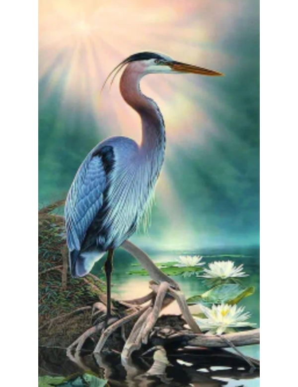 Reiger Reiger