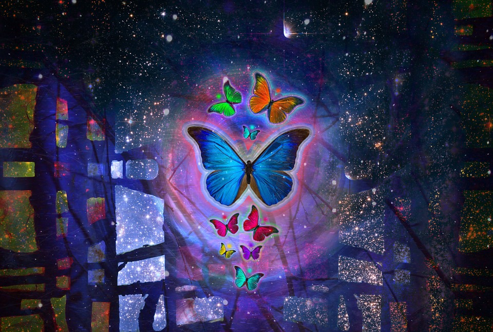 Vlinders Diamond Painting